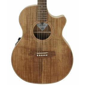 Cole Clark TL2EC-BLBL TL Thin Line Grand Auditorium in Natural Satin