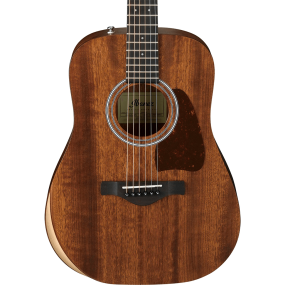 Ibanez AW54JR Artwood Acoustic Guitar in Open Pore Natural