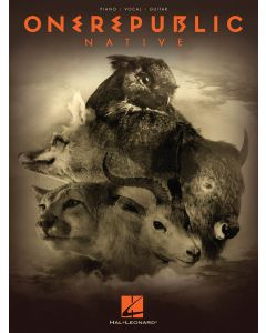 OneRepublic Native PVG