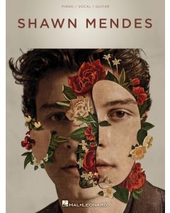 Shawn Mendes PVG
