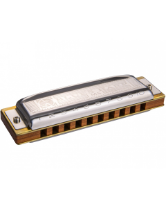 Hohner MS Series 10 Hole Blues Harp Db