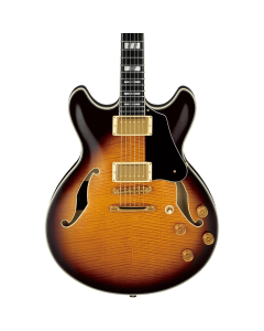 Ibanez JSM100 VT John Scofield Signature Guitar