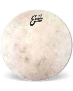 Evans Calftone 15" Tom Drum Head