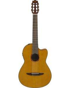 nylon acoustic guitar