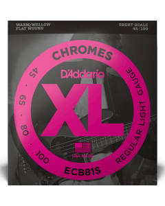 D'Addario ECB81S Short Scale Flatwound Bass Strings Light 45-100 Gauge