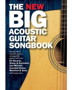 The New Big Acoustic Guitar Songbook