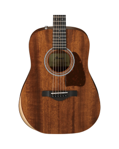 Ibanez AW54JR Artwood Acoustic Guitar in Open Pore Natural