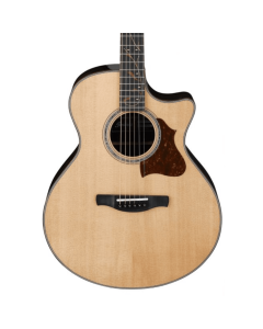 Ibanez AE315ZR Acoustic Electric Guitar in Natural High Gloss